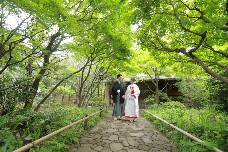 暑い季節がやってきます!