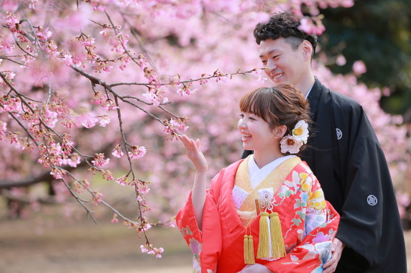 まだ満開していない子も