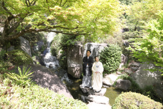 新緑の時期が始まります！