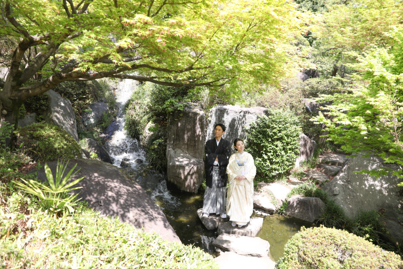 新緑の時期が始まります！