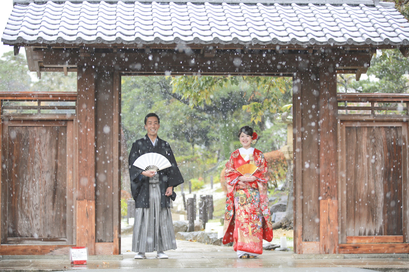 11月に初雪のたより