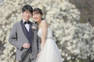 スタジオアクア新宿店です。 昭和記念公園の寒桜が見頃です！