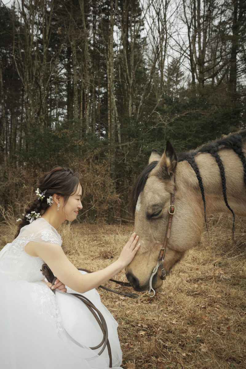 ご希望ショット