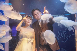 しながわ水族館