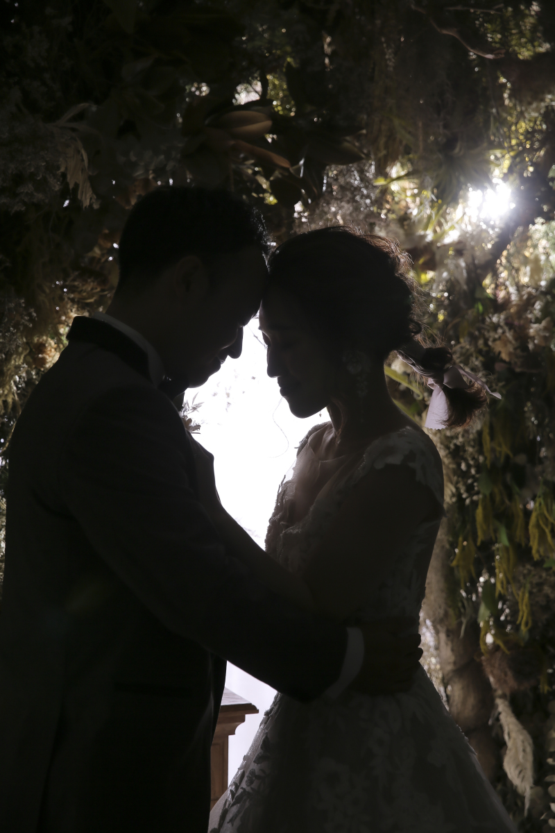 屋内庭園スタジオ&ハウススタジオ