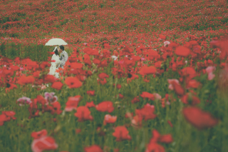 「お花にかこまれて」