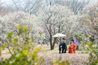 昭和記念公園〜梅〜