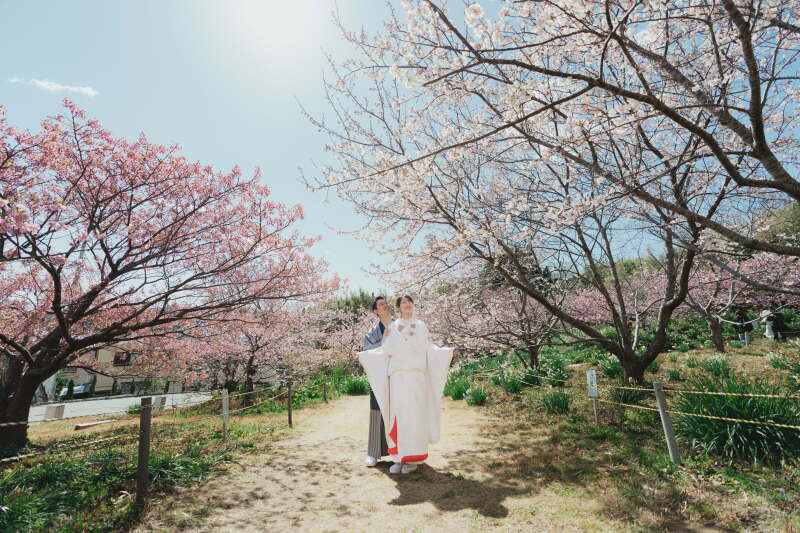 来年の楽しみに！