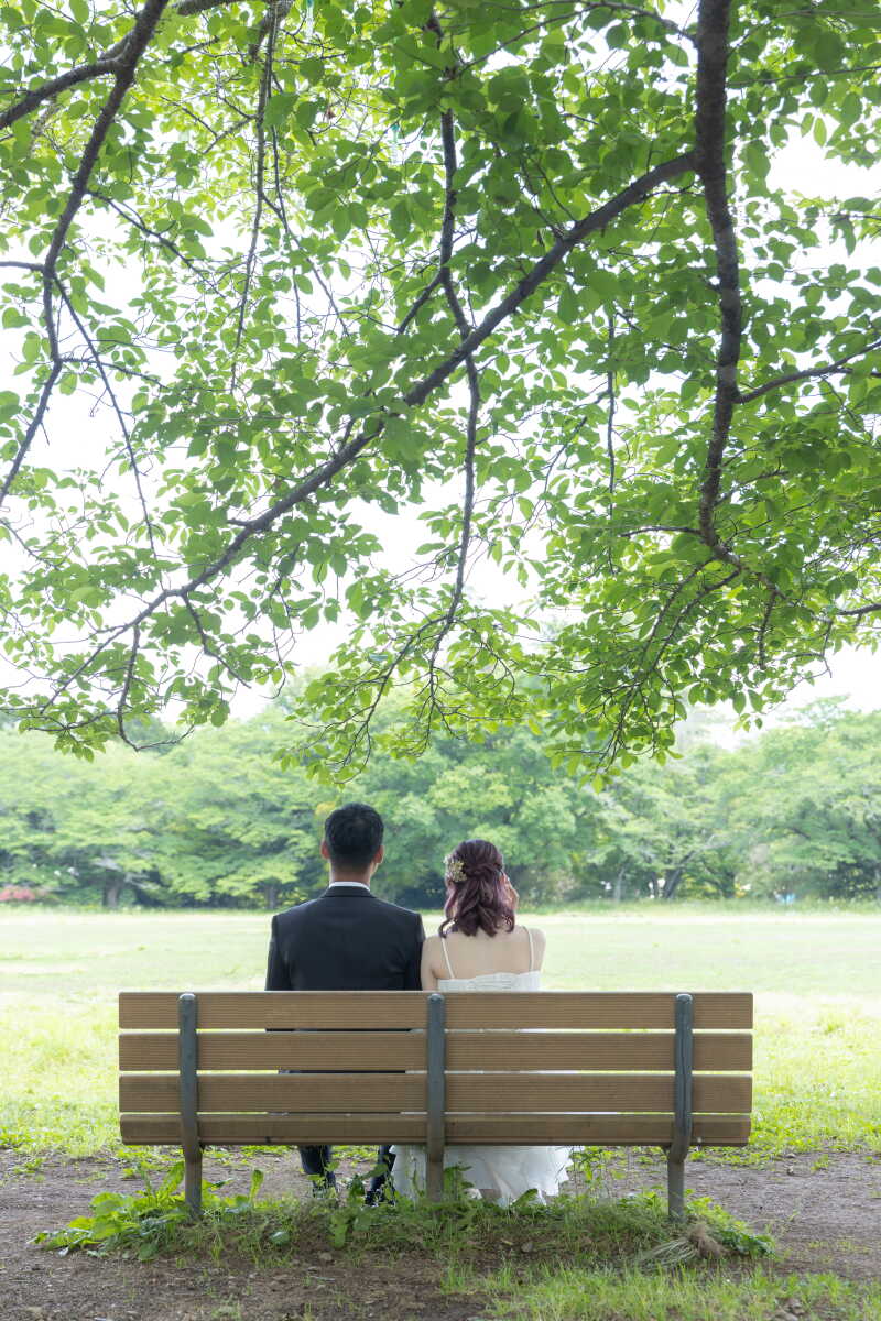 大きな木の下で、ベンチに腰かける穏やかな時間