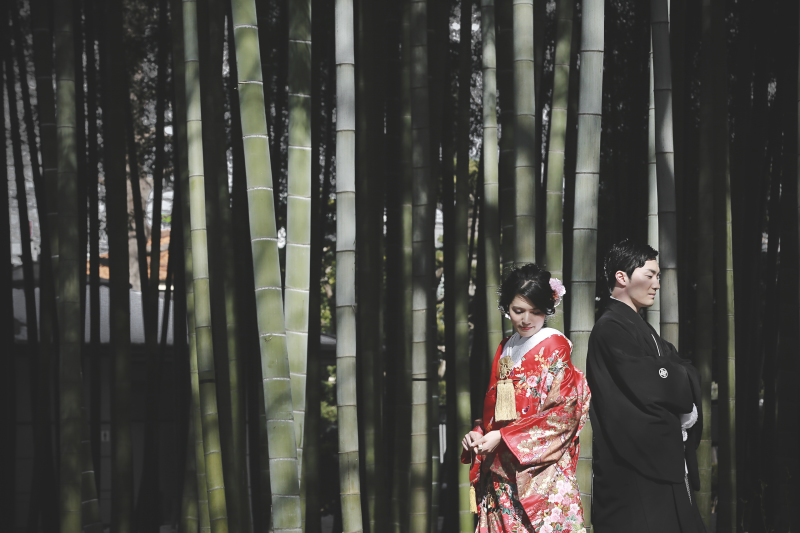 竹林の木漏れ日☆