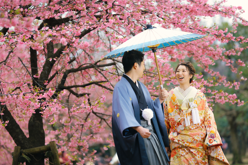 「桜道の散歩」