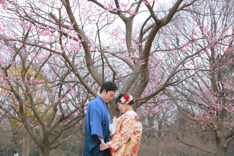 梅ロケ、受付中！