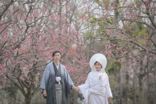 春がもうすぐそばまで来ています。