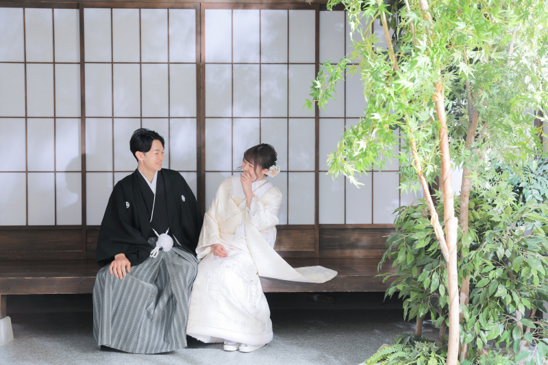 緑、あります！