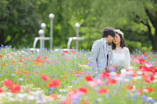 咲き乱れる！花の嵐。