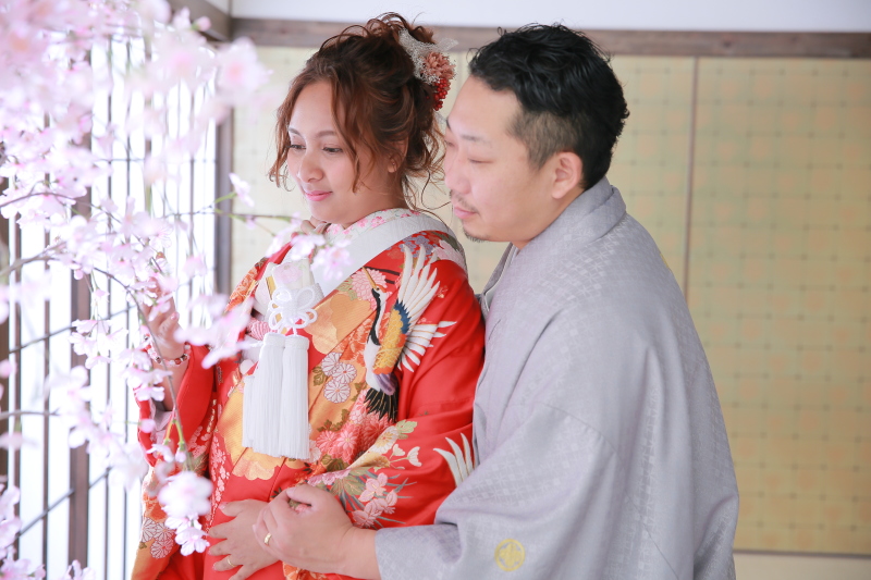 スタジオでも桜✴︎