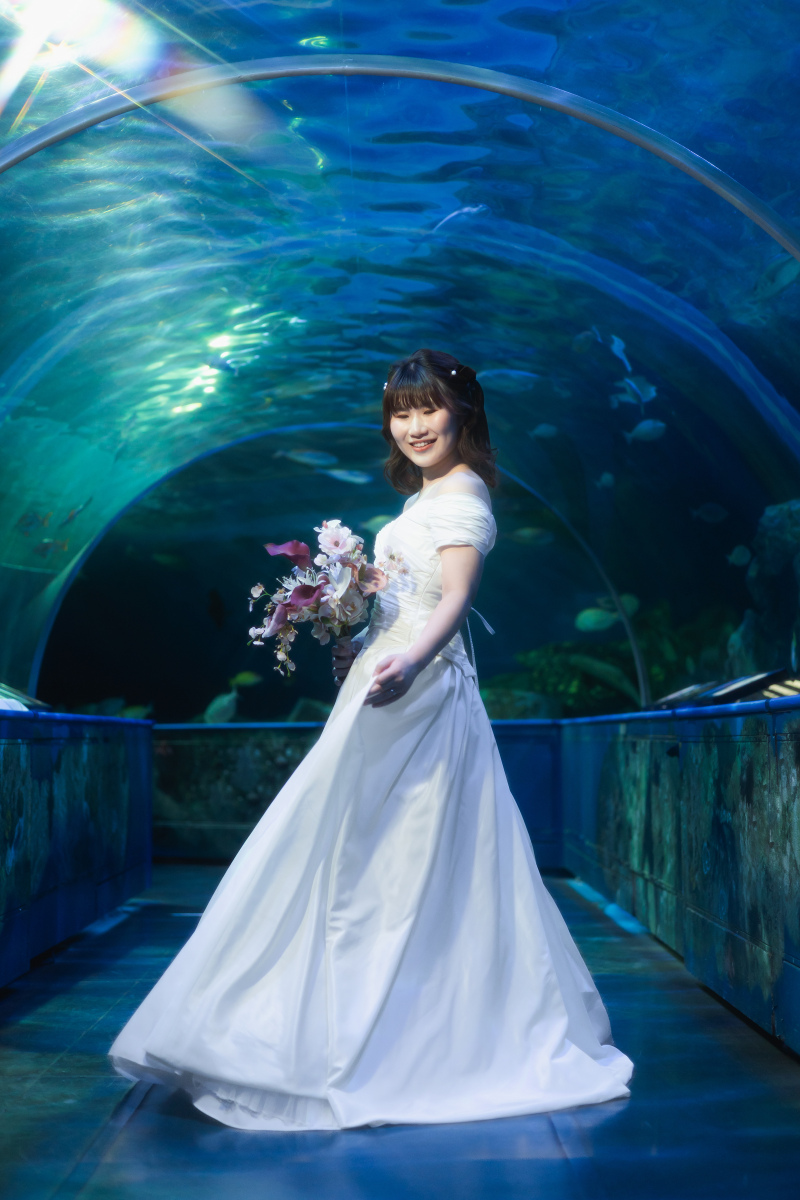 しながわ水族館ロケーション