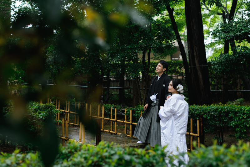 緑が綺麗な時期になりました