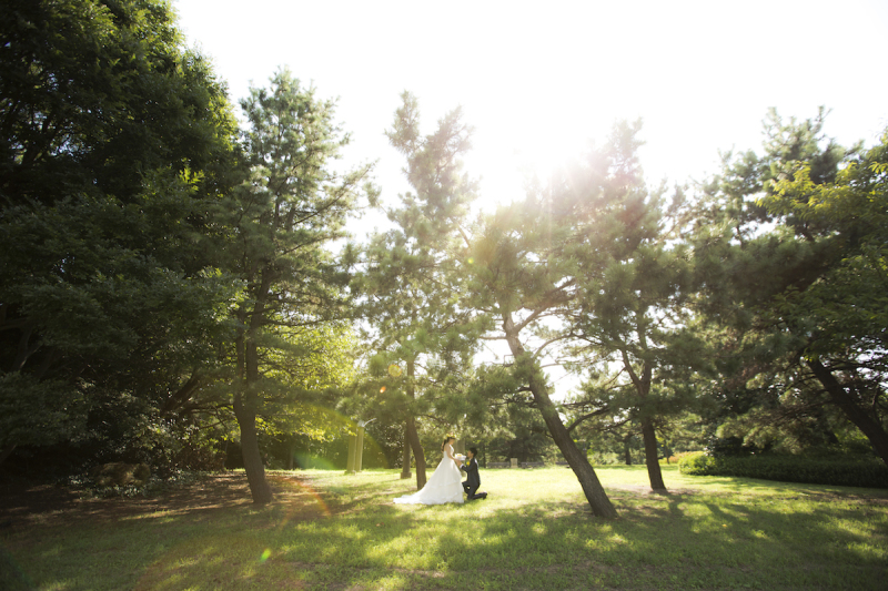 『プロポーズ＋光』