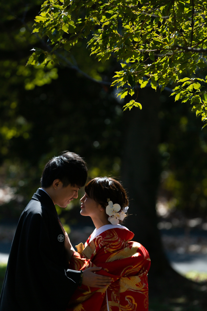 光と影のコントラスト