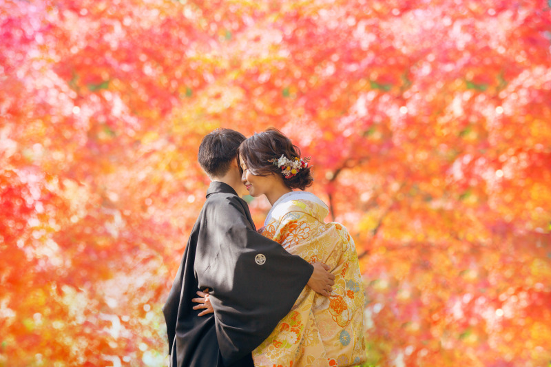 紅葉に包まれて