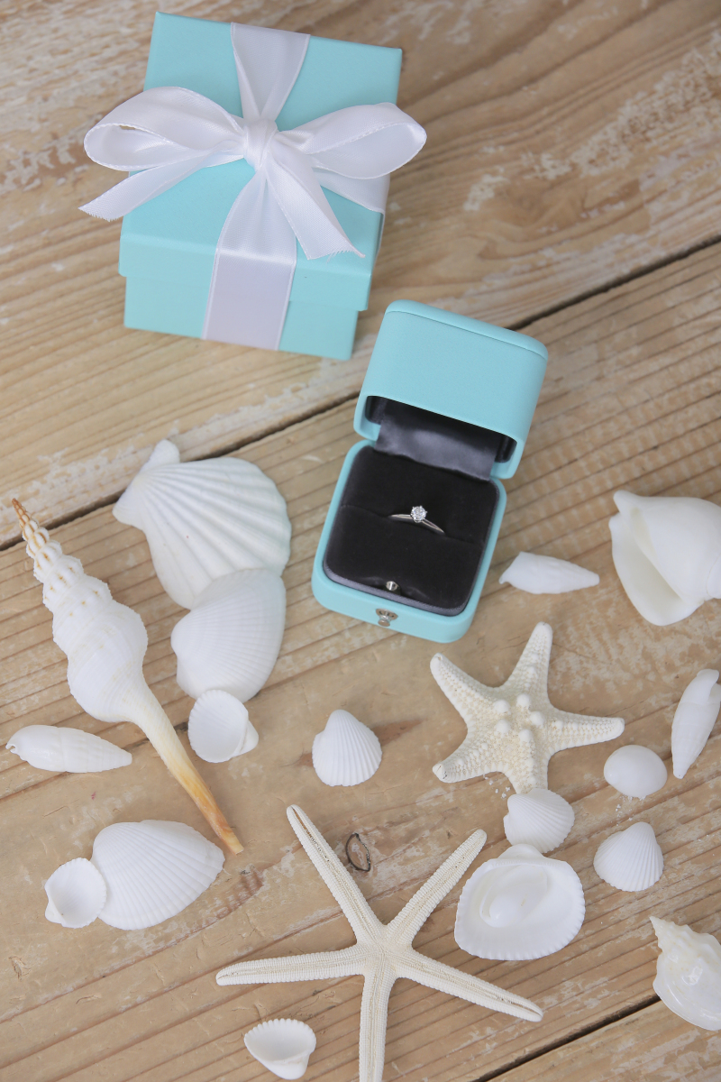 本日の締めショット！