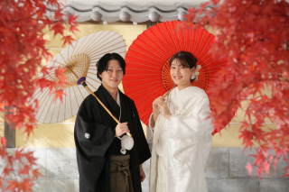 屋内庭園スタジオ