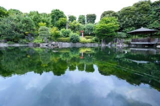 新緑の目白庭園で