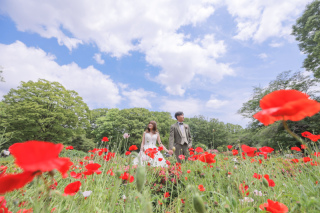 自然の中で撮影を！