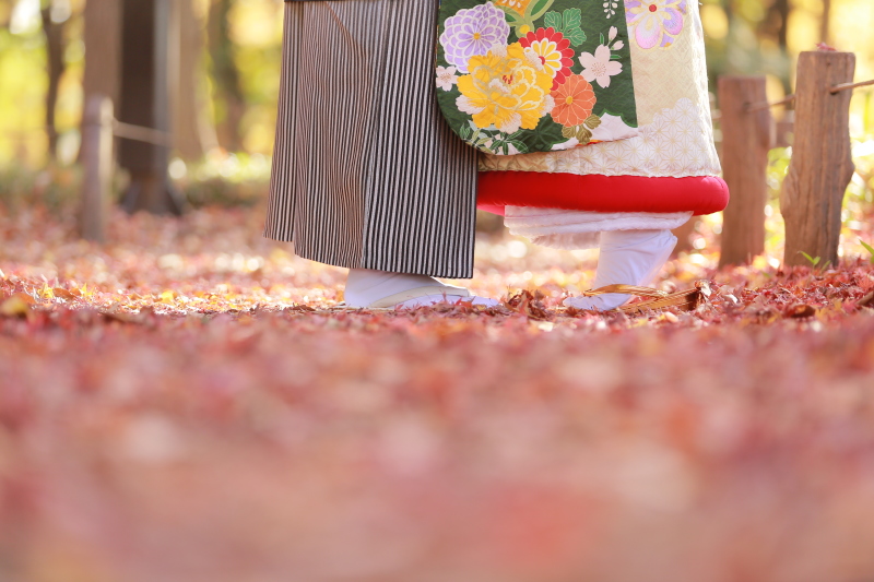 紅葉のじゅうたんで・・・