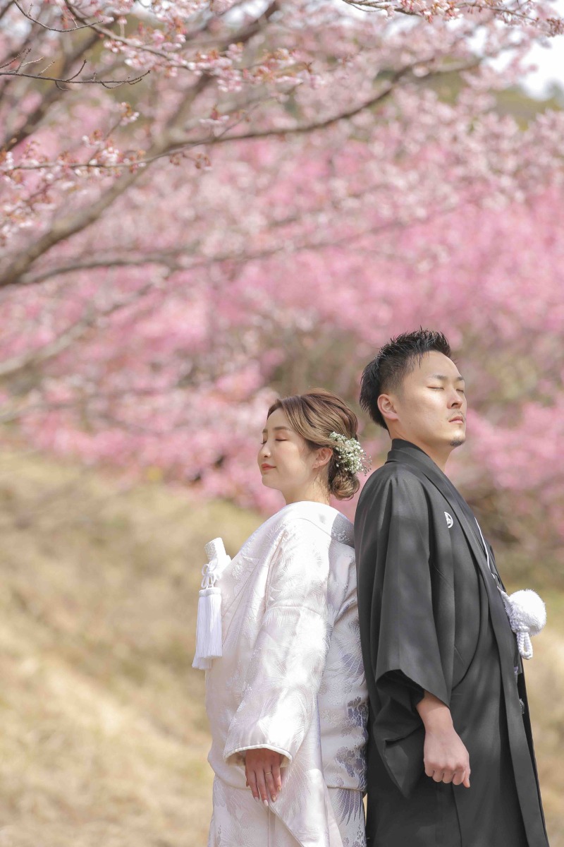 伊豆桜ロケーション