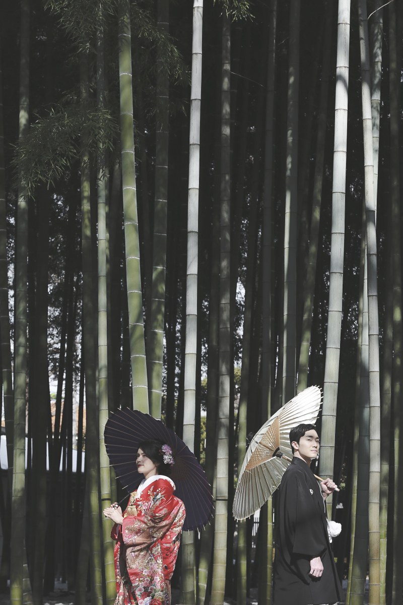 竹林は番傘との合わせも◎