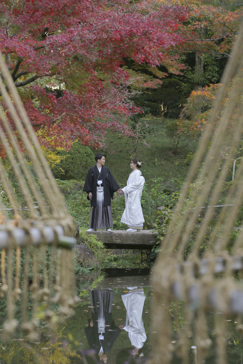 雪吊りの間から。