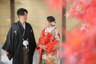 屋内庭園スタジオ