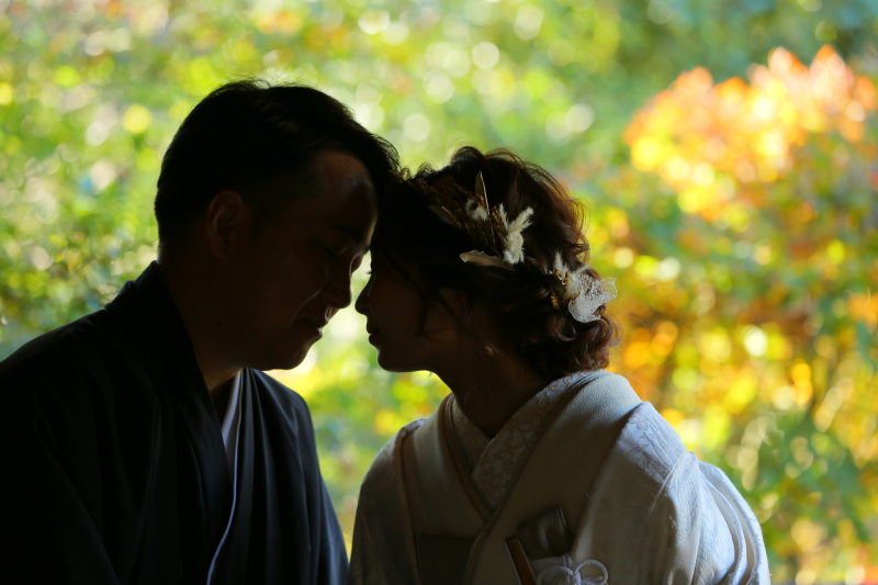 シルエットショットその3