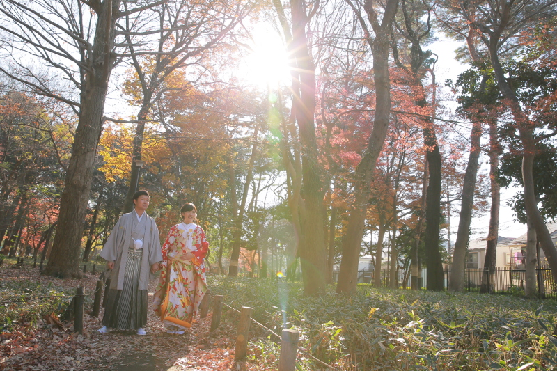 木々から覗く日光