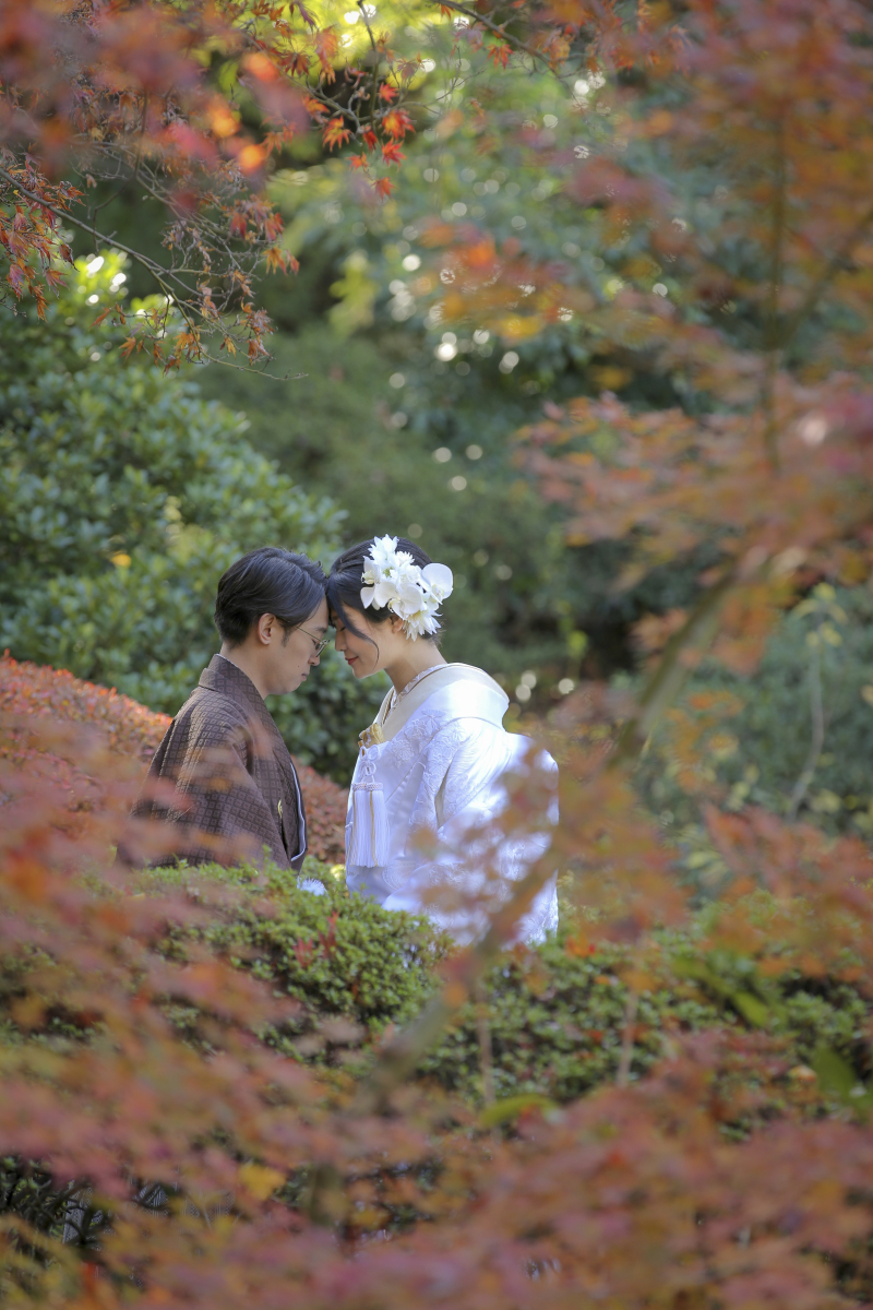 しっとりな1枚に。