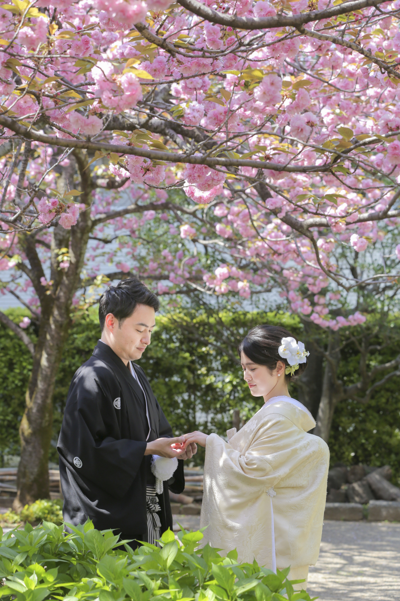 桜の下で愛を誓う。