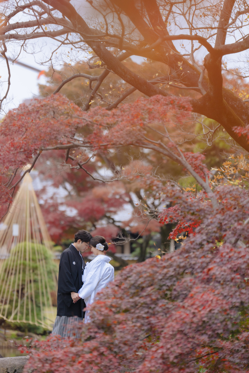 モリモリの紅葉にかこまれて