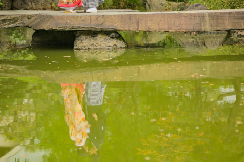 リフレクション