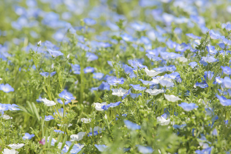 お二人のリクエスト写真