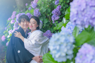 和装の紫陽花ロケの予約を開始します！
