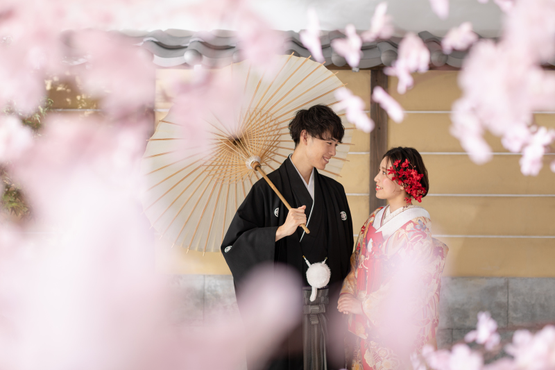 桜と撮る室内撮影