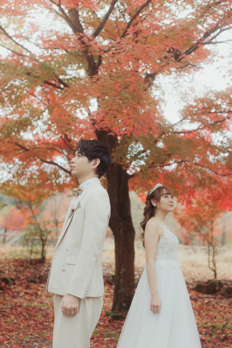 ファーストカット