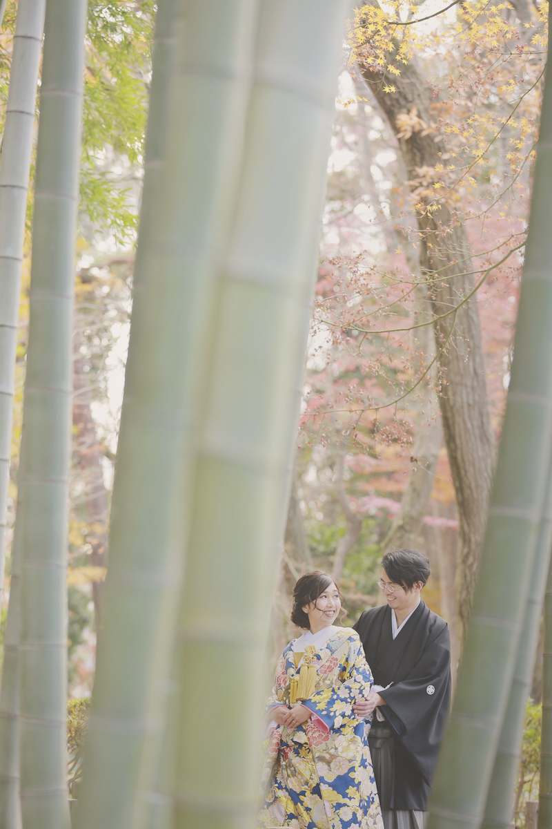 『竹林＋見つめ合い』