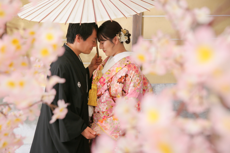 満開の桜に囲まれて。