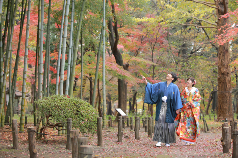 竹と紅葉とお散歩
