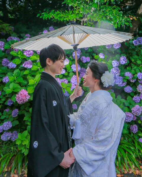 6月の紫陽花ロケ受付開始!