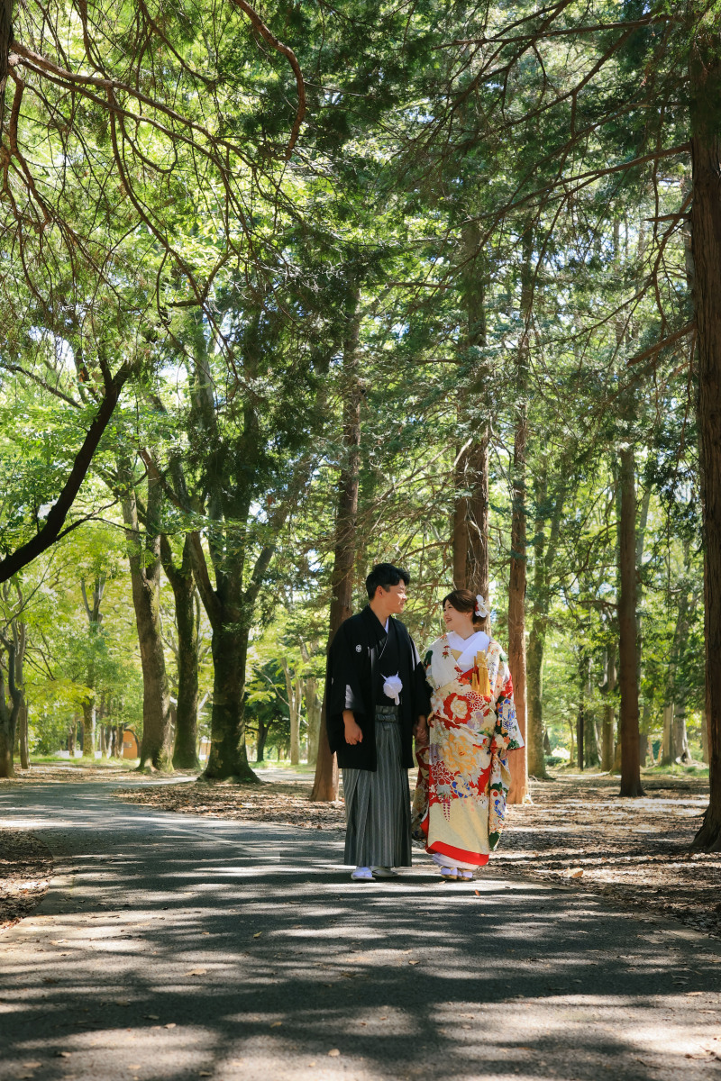 木漏れ日ロード