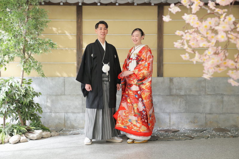 桜のお庭で散歩しているかのようなお写真！